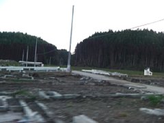 201111112 096.jpg